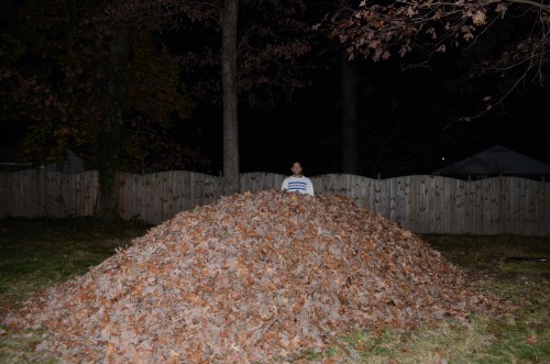 leaf pile