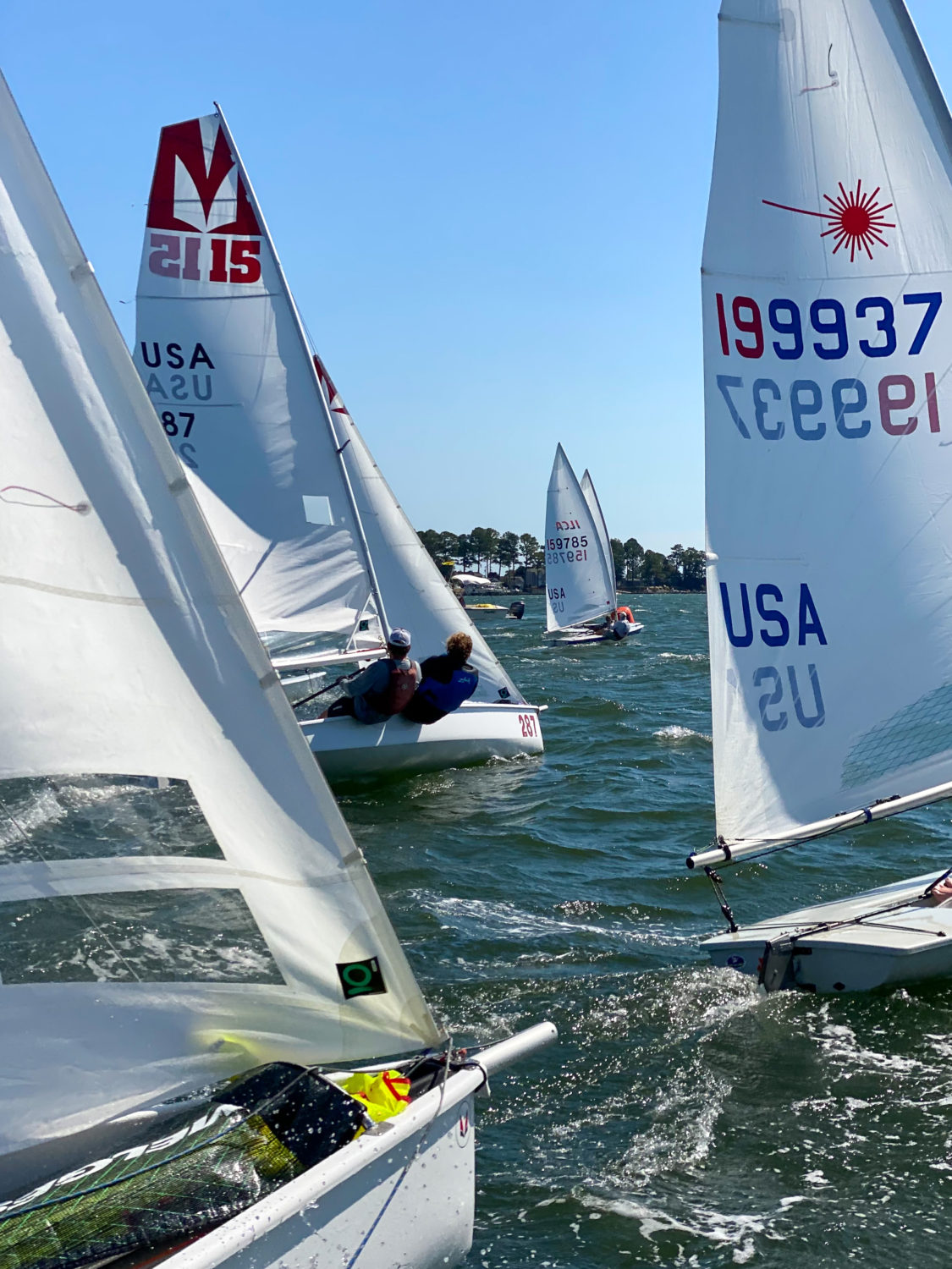 Another starting line shot of the ILCA and Melges 15 - by Jenny H